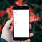 Tutorial Cara Menambahkan SearchView pada RecyclerView dengan Kotlin
